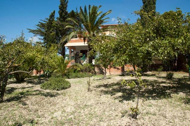 Palma Holiday home